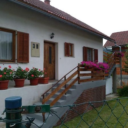 Apartman Nina Licko Petrovo Selo Buitenkant foto