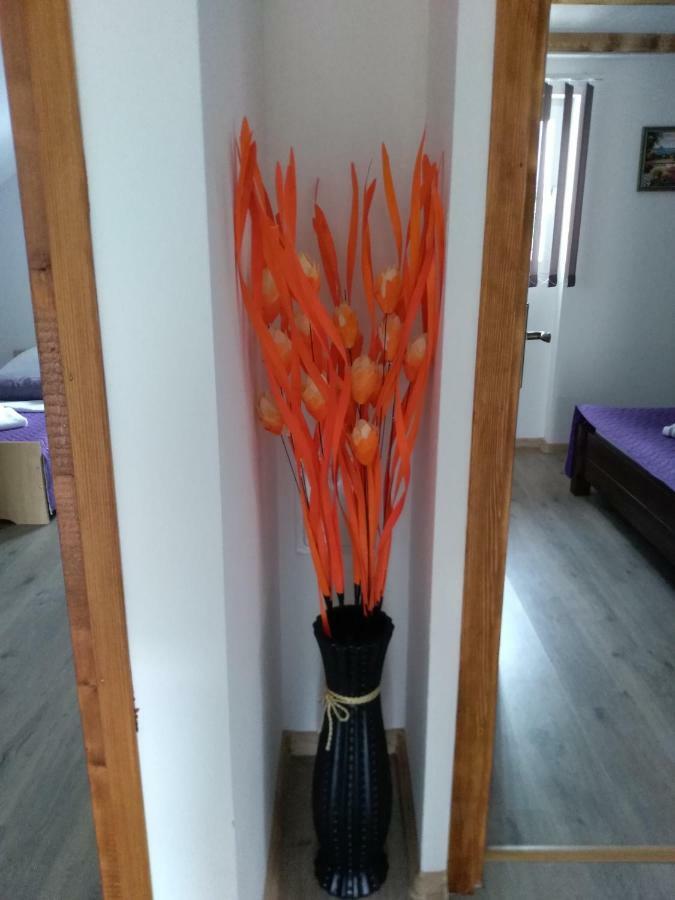 Apartman Nina Licko Petrovo Selo Buitenkant foto